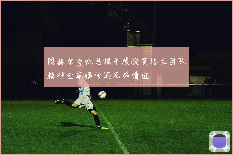 图赫尔与凯恩携手展现英格兰团队精神全家福传递兄弟情谊