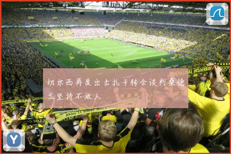 切尔西再度出击扎卡转会谈判桑德兰坚持不放人